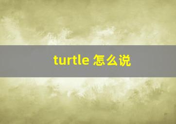 turtle 怎么说